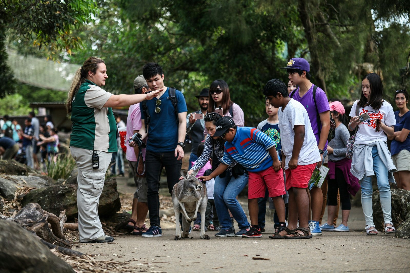 Ecotourism for Practitioners: Designing and Delivering Ecotourism Experiences