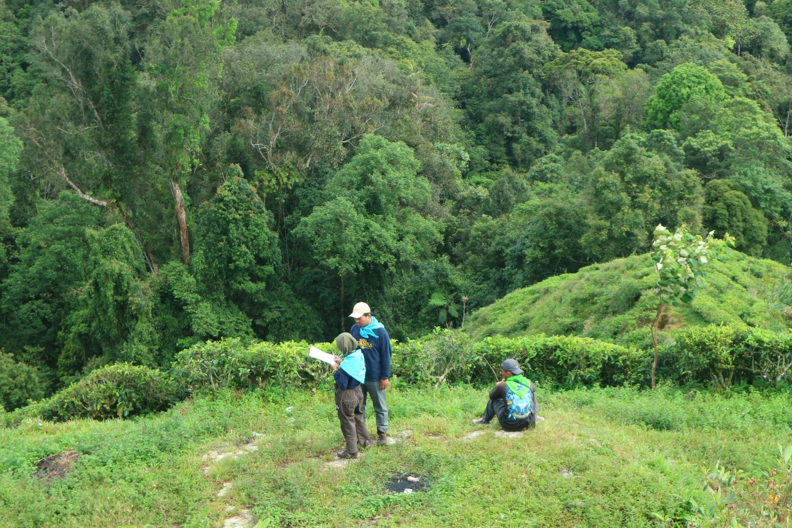 Ecotourism Strategy & Implementation for Councils and Destinations