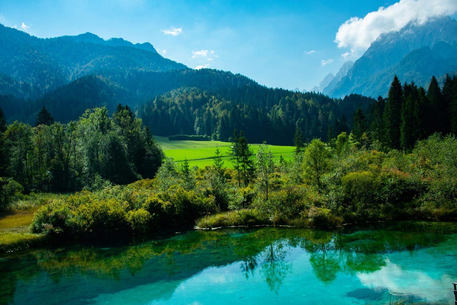 Ecotourism Strategy & Implementation for Councils and Destinations
