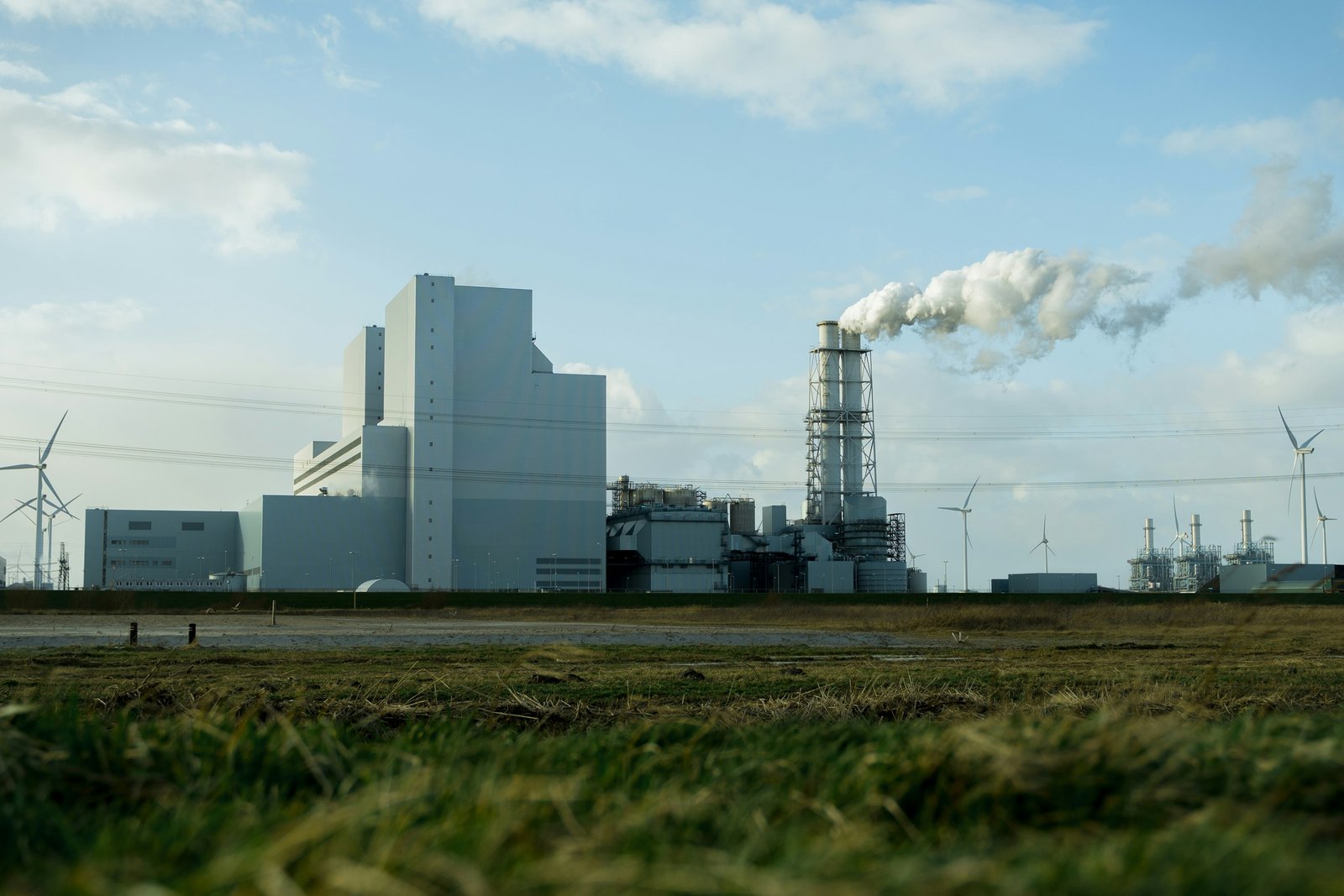 Energy Transition Decisions for Business Leaders